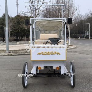 Carruaje Eléctrico Clásico de 4 Ruedas con Color Personalizado, Estilo Real para Bodas, con Capacidad para 4-6 Personas, Buggy Turístico - Product Image 5