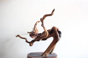 ศิลปะดริฟท์วู้ด - Product Image 2