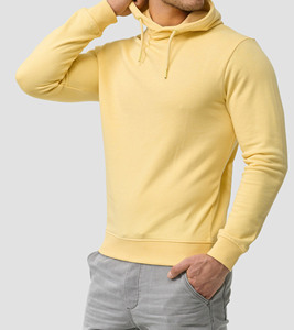 Moda hecha temporada de invierno Custom Own Logo 400gsm 100% algodón Color sólido Oversized Gym pullover sudaderas con capucha de manga larga - Product Image 1