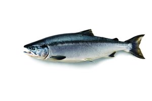 ชุดสุญญากาศไขมันต่ำทั้งชิ้นคุณภาพสูงปลาแซลมอนแช่แข็งปลาแซลมอนราชาแช่แข็ง - Product Image 3