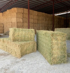 Foin d'alfalfa de haute qualité pour l'alimentation des chevaux, des bovins et des porcs - Sac en vrac avec livraison rapide et prix réduits - Product Image 6