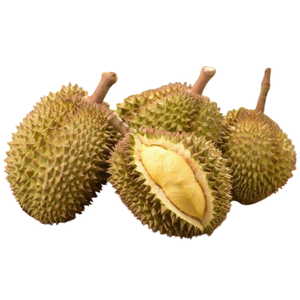 ทุเรียนแช่แข็งแบบพรีเมี่ยมจำนวนมากจากเวียดนาม | ส่งออกทั้งผลไม้ - Product Image 1