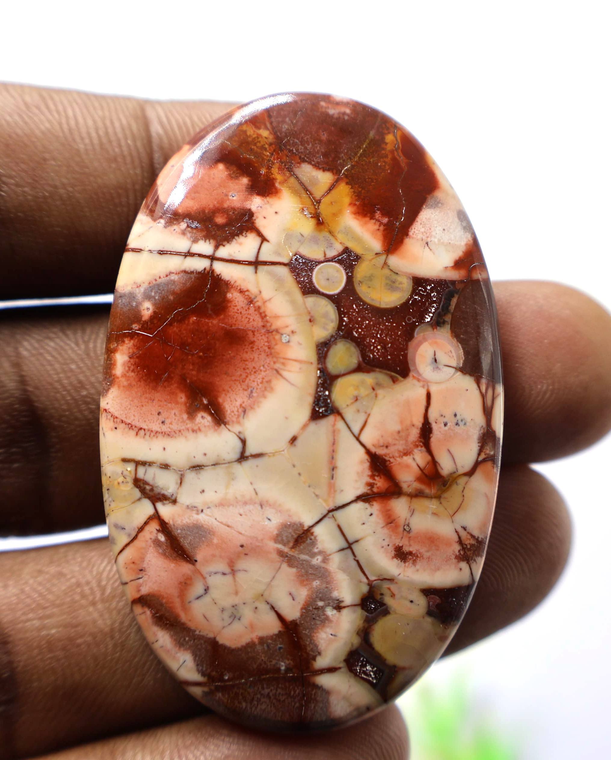 เห็นเป็นภาพ