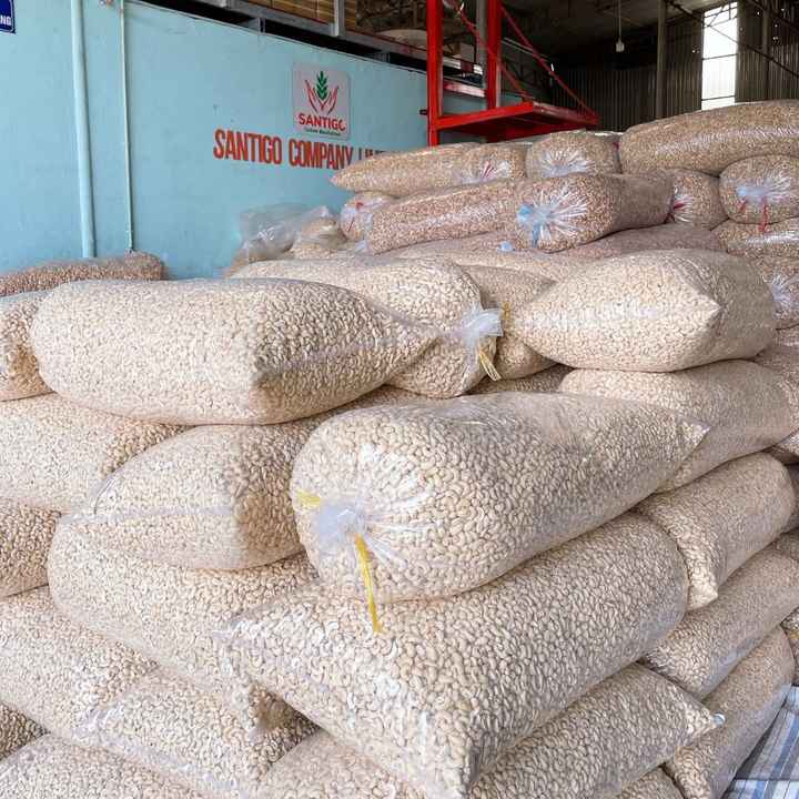 Hot Sales High Quality  Raw Cashew Nuts Cashew Nuts Raw Cashew Nuts OEM, ODM