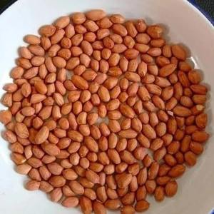 Semillas de Maní 100% Naturales, Calidad de Exportación, Suministro a Granel para Productos Agrícolas, Precio de Mayoreo Más Vendido - Product Image 1