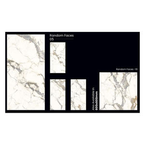 Prix de gros Carreaux de porcelaine Cosima Satuario multifonctionnels au design naturel du fabricant indien - Product Image 5