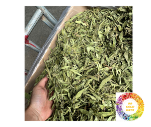 Feuille de stévia séchée en vrac du Vietnam ingrédient naturel de thé aux feuilles sucrées feuille de stévia séchée de qualité supérieure pour la cuisson d'extraits de cuisine - Product Image 3