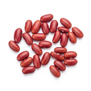 Frijoles rojos de primera calidad utilizados en comidas preparadas, platos congelados y producción de aperitivos disponibles en grandes volúmenes - Product Image 2