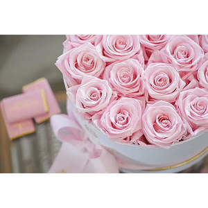 Chelsea Eternal Rose Gift Box in Pink Martini Preserved Natural Flower for Valentine's Day and Mother's Day Gifts - Product Image 2