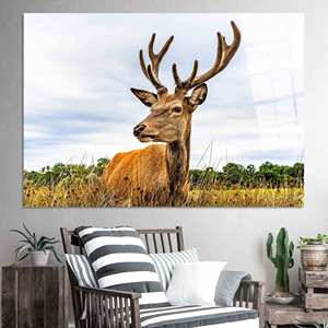 Impression sur toile élégante avec motif de cerf : Décoration de mariage moderne, Art sur verre trempé - Product Image 1