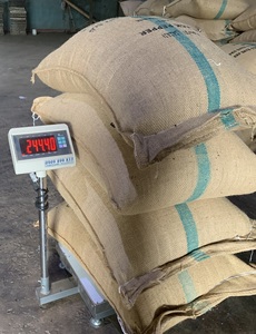Pimienta negra de especias enteras de nueva cosecha de alta calidad de muestra gratis de hierba seca INTERNACIONAL DE Vietnam con excelente proceso de secado - Product Image 5