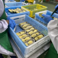100% natuurlijk IQF diepvriesdurian. Geniet van de echte smaak van Thailand. Perfect bewaard voor uw genot, altijd beschikbaar!
