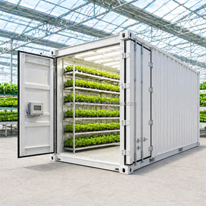 Projet clé en main : Ferme hydroponique en conteneur maritime de 40 pieds avec conception Plug and Play pour un succès agricole à grande échelle - Product Image 3