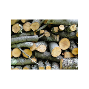 64 Kiln-Dried Firewood <b>Logs</b> Best Product <b>Oak</b> Birch Beech From Germany Cheap Sale - Product Image 5