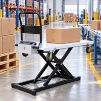 Chariot élévateur électrique pour chargement de fourgonnettes 300 kg, chariot détachable, directement de l'usine