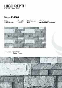Carreaux muraux extérieurs en porcelaine 300x600mm Série Élévation - Product Image 3