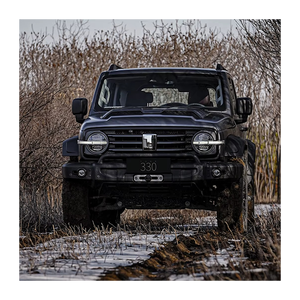 Tank300 GWM : Véhicules Tank disponibles en gros, qualité supérieure et livraison rapide - Product Image 1