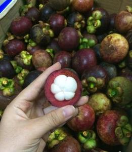 Mangostán Fresco de Vietnam, Recogido a Mano, Sabor Tropical Dulce, Envío de Grado Premium - Product Image 6