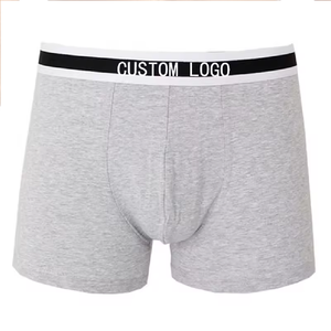 Nouveaux hommes coton slips soutien mouche poche hommes Spandex coton biologique Sexy slip sous-vêtements Boxer en gros - Product Image 1