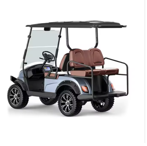 Scooter Eléctrico de Movilidad para Personas Mayores, 800W, 60V, 4 Ruedas, Multifuncional, de Largo Alcance, Tipo Carrito de Golf con Techo, Venta al Por Mayor - Product Image 1