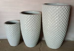 Único plantadores - Product Image 2