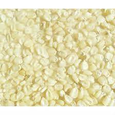 Granos de maíz blanco gigante en venta - Product Image 3