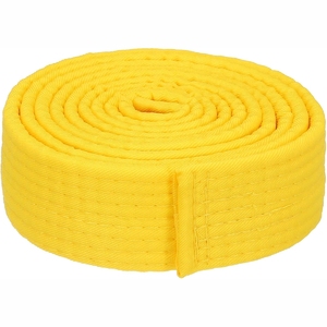 เข็มขัดคาราเต้2025ใหม่เข็มขัดอุปกรณ์ศิลปะการต่อสู้แบบกำหนดเองพิมพ์ลาย - Product Image 3