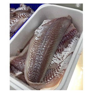 Saumon blanc congelé (Coalfish) – Poisson congelé de qualité pour la vente en gros, au détail et à l'exportation - Product Image 6