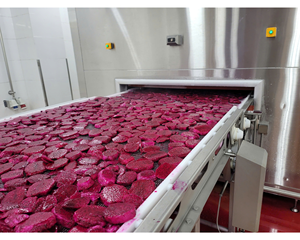 Morceaux congelés de fruit du dragon du Vietnam pitaya rouge exportateur IQF fruit du dragon congelé disponible en vrac fruit du dragon congelé - Product Image 6