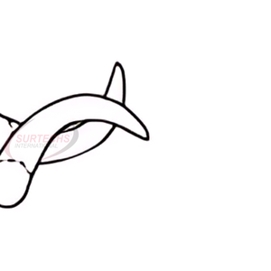 Retractor Mastoides JANSEN de 100 mm, Afilado, 3 x 3 Puntas, 4 Pulgadas, Manual, Acero Inoxidable, Retractor de Precisión, Certificado CE - Product Image 3