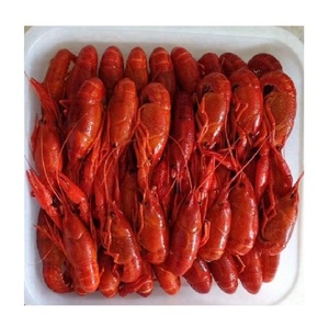 กุ้งมังกรอเมริกันแช่แข็งคุณภาพสูงพร้อมจำหน่ายในราคาประหยัด - Product Image 6