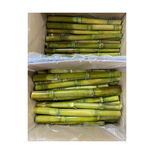 Fabricant de canne à sucre congelée pour l'exportation comme aliment à haute teneur en sucre, canne à sucre exportée du Vietnam pour jus - Product Image 2