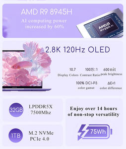 A S U S Adol A i r 14 O L E D Pantalla HDR 600 Pantalla AMD Ryzen 9 8945H 4,0 Ghz R a d e o n 780M GPU LPDDR5 Ram 1TB SSD - Product Image 5