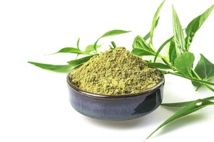 Polvo de extracto de Andrographis a granel 20% por aplicaciones industriales HPLC para el mejor precio al por mayor - Product Image 2