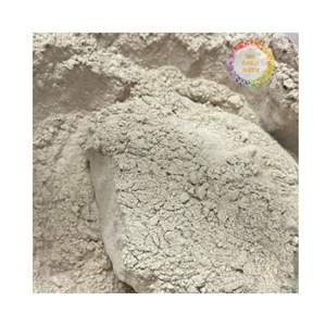 VENTE EN GROS D'USINE POUDRE DE BANANE POUR BOISSON BOISSON INSTANTANÉE POUDRE DE BANANE FABRIQUÉE AU VIETNAM PRIX BON MARCHÉ AMIDON DE BANANE - Product Image 3