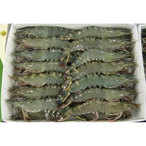 กุ้ง vannamei แช่แข็งกุ้งขายส่งในร่ม - Product Image 4