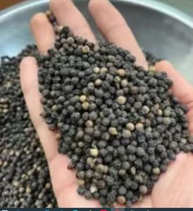 Las especias secas de pimienta negra más efectivas para Cocinar en casa a un precio asequible por exportador de pimienta negra - Product Image 2
