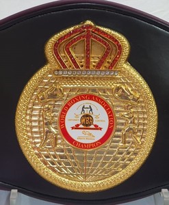 Ceintures de champion de boxe personnalisées ! NOUVELLES CEINTURES DE BOXE WINING - Product Image 1