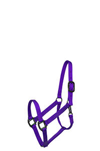 Halters réglables équestres extérieurs professionnels de haute qualité personnalisation multicolore bride de cheval acceptée - Product Image 3