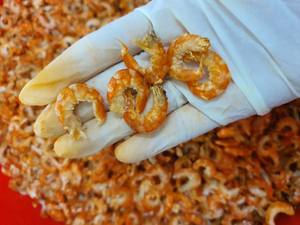 Camarón natural secado al sol, marisco rico en proteínas, perfecto para sopas, ensaladas y aperitivos, conservante sin datos de oro 99 - Product Image 5