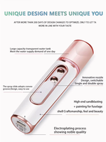 Vaporizador Facial USB, Mini Humidificador, Nebulizador, Vaporizador Facial, Instrumento de Belleza Hidratante, Herramienta para el Cuidado de la Piel Facial, Metal Nano