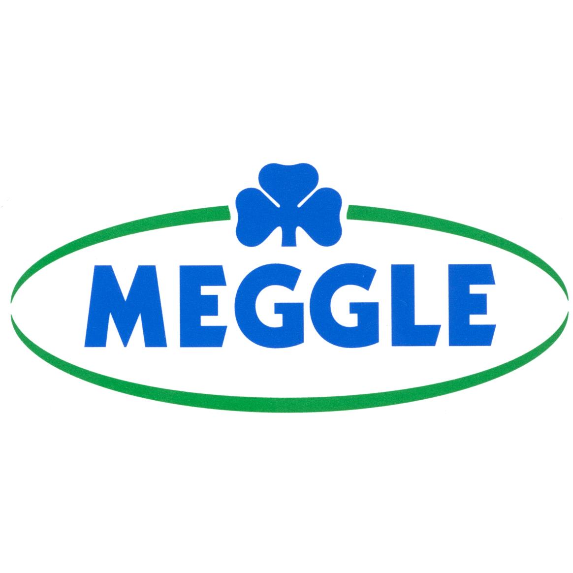 MEGGLE GmbH & Co. KG logo