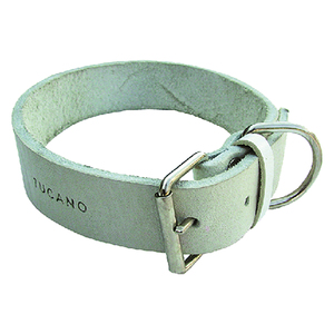 Collare per cani larghezza mm 25 lunghezza cm 45 - Product Image 1
