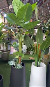 Modern Long Rectangle Plastic <b>Planters</b> <b>for</b> Windowsill Patio Porch <b>Balcony</b> <b>Railing</b> Flower Boxes <b>for</b> <b>Balcony</b> Rail <b>Planters</b> - Product Image 6