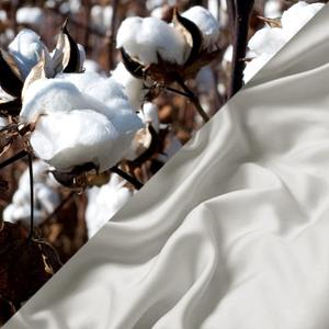 Pull à capuche en polaire gris chiné 100% coton biologique brodé en gros du Pakistan Heavyweight 600 Gsm Winter Style - Product Image 3