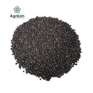 Pimienta Negra a Precio Económico 550GL MC Pimienta Vietnam Especias Pimienta Negra en Grano +84399521266 Sra. Mia - Product Image 1