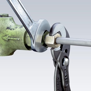 Pince à vis KNIPEX polie avec revêtement plastique, longueur totale 250 mm, plage de serrage 10-32 mm pour outils d'atelier - Product Image 5