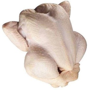 Patas de Pollo Congeladas con Cafeína, Certificadas Halal Premium, en Caja - Product Image 2