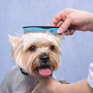 Peigne PET de qualité supérieure pour les zones de petites et grandes races Poignée confortable Poignée ergonomique Matériau ABS antidérapant Emballage en boîte de style simple - Product Image 5