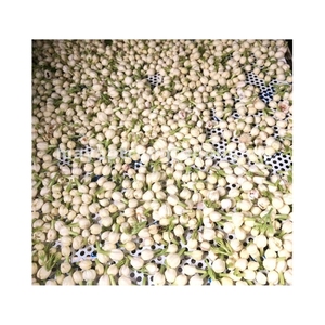 PREMIUM QUALITY Edible <b>Dried</b> Jasmine Buds Best For Sweet Dessert Toppings And Effective In Making Calming Herbal Facial Steam - Product Image 2